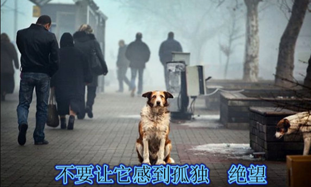 海南海南爱影圈微博微信转发案例